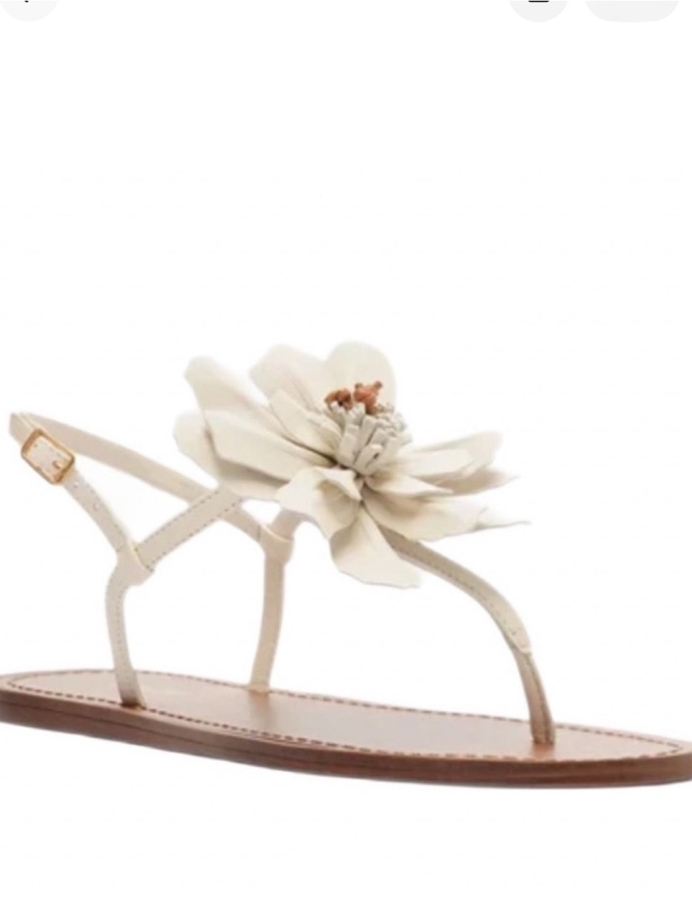 Arezzo Floral Sandal
Size 8